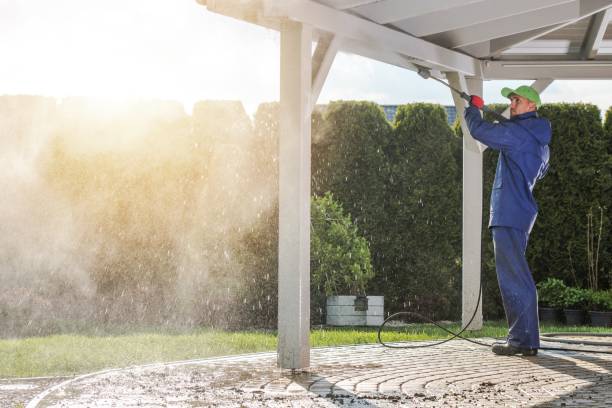 Best Roof Cleaning and Mildew Removal in Desert Hills, AZ